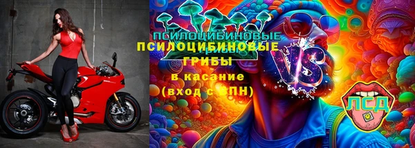 ПСИЛОЦИБИНОВЫЕ ГРИБЫ Саяногорск