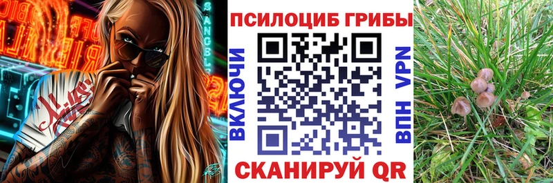 Псилоцибиновые грибы ЛСД  mega   Нея 